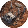 Description of image